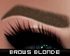 💄Muse Brows -Blonde