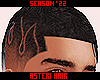 †. Asteri Hair 20