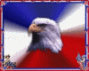 Fourth of July Eagle