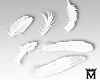 May♥Feathers