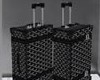 Black Goyard Luggage