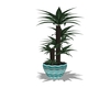 Teal potted plant