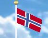 [JD]Norwegian Flag2