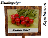 Sign-Radish Patch