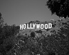 AS Old Hollywood Photo