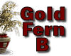 Gold Fern B