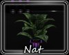 NT Feelings Planter 3