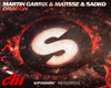 MARTIN GARRIX DRAGON