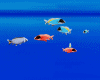 M0*tropic fish Animated