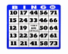 Bingo Floor Card2