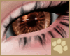 ~AM~ Cicikava Eyes v2