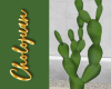Minimal Cactus