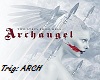 Archangel Intro/Outro