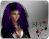 [BIR]Jay *purple