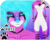 [Pets] Ari | abless male