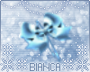 [B]Bianca Dreams Bows