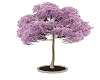CHERRY TREE