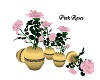 Pink Roses in Vases