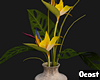 Exotic Plant Vase