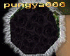 [A]pungya Blackrose W/B