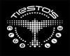 House tiesto 2013 