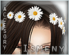 [Is] Daisy Hair Clips