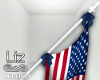USA Flag| 4 of july