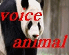 voice animals
