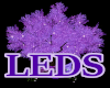 LEDS Purple Tree Swing