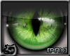 [PnX] Green Cat (M)
