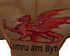 ~DD~ Welsh Dragon Tat
