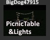 [BD]PicnicTable&Lights