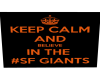 SF Giants pics poster