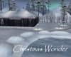 AV Christmas Wonder