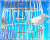 🦜​Bird Cage