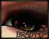 [B]brown xtacy eyes F