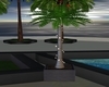 Potted lit palm tree