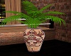 Warm Serenity Vase Palm