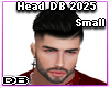 Head DB Small 2025