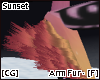 [CG] Sunset Arm Fur