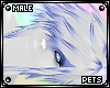 [Pets] Ferre | hair v2