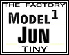 TF Model Jun 1 Tiny