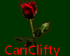 CC- ROSE RED
