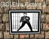 [BD] Elvis Picture 1