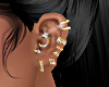 GOLD SERIES earrings