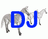 white horse dj lights