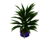 Club Neon Plant