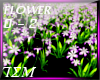 T|»Spring Flower ~ Epic