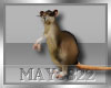 May*Rat