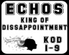 Echos-kod